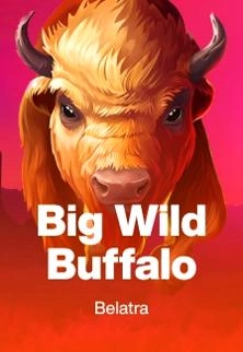 Big-Wild-Buffalo